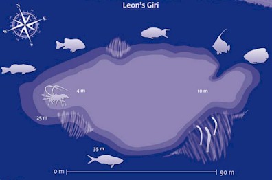 Leons Giri